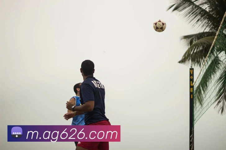 多媒体互动体验